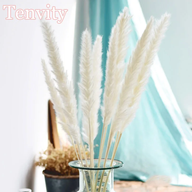 

Bulrush Natural Dried Flowers Artificial Plants Branch Colorful INS Pampas Grass Phragmites Fake Flower Wedding Home Decoration