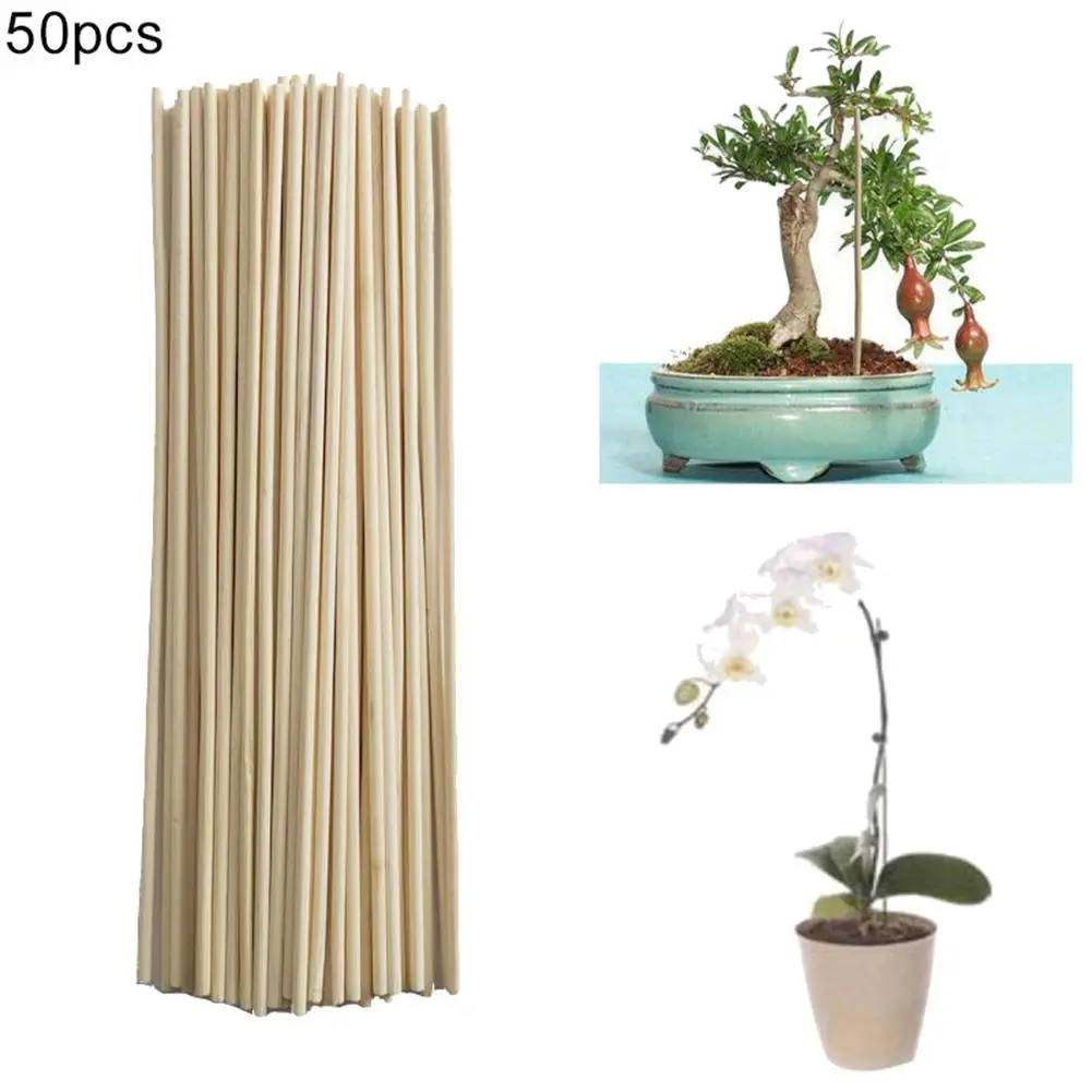 50Pcs Bamboo Plant Grow Support Sticks Garden Potted Flower Canes Rod Tools Plants Stick Cane | Дом и сад