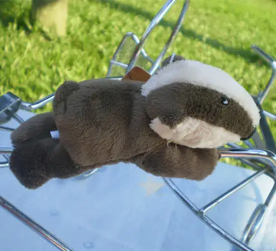 Магнит на холодильник для детей с изображением животных серого мефитина | Дом и