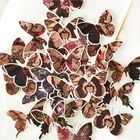 28 шт.упак. в стиле милой панды, sticekrs ежедневно Водонепроницаемый Декоративные Канцелярские крафт-стикеры Скрапбукинг DIY дневник альбом этикетка