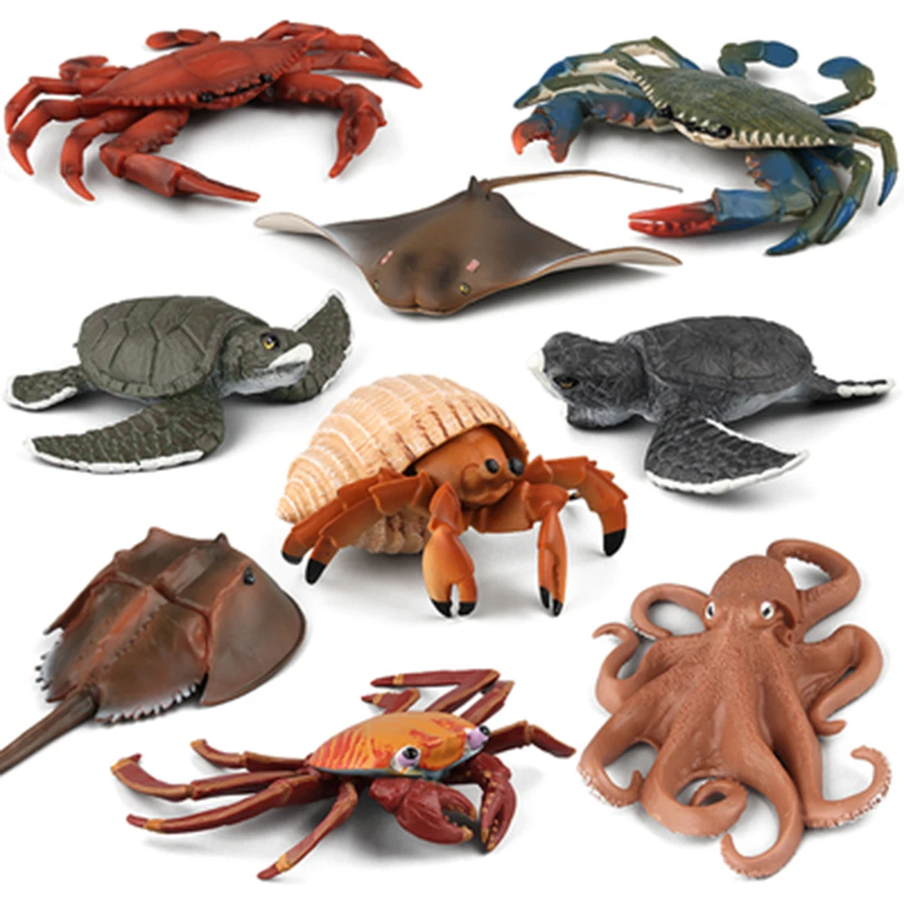 

Marine Animal Octopus Model Turtle Pose Turtle Simulation Plastic Solid Sea Crabs Resident Crab Toys