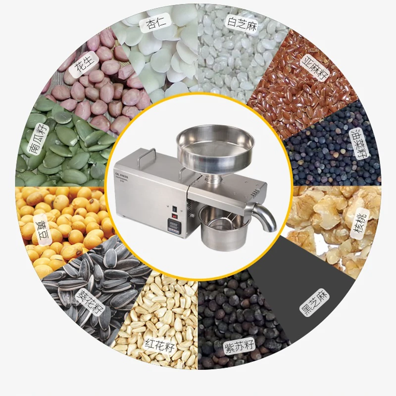 

Stainless Steel Automatic Home Coconut Oil Press Machine for Coconut Cold