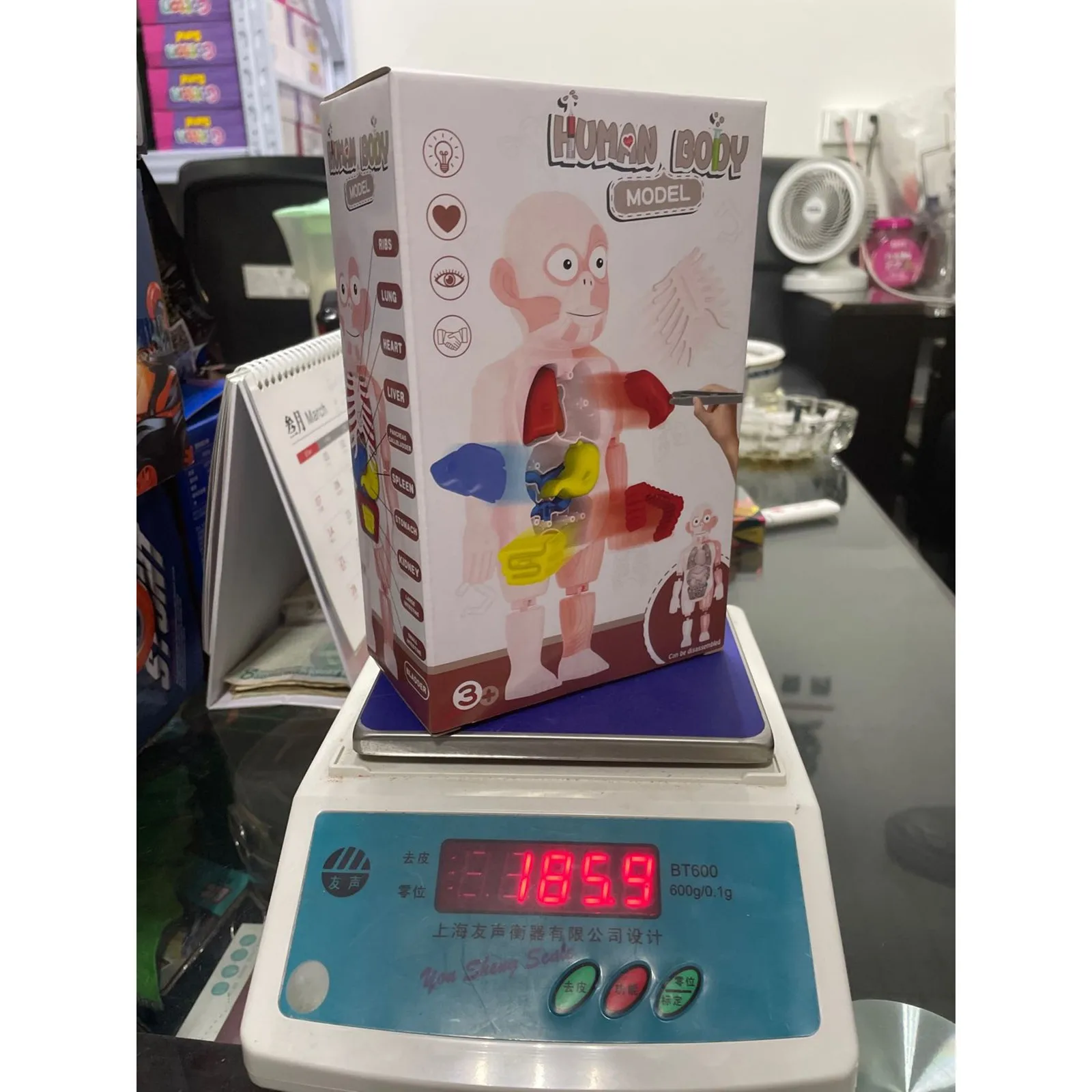 

Children Science Toys Education Human Organ Model Diy Assembled Enlightenmen Toys Montessori Body Structure Educational Toys