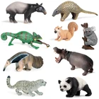 Новая модель диких животных в джунглях, малайский тапир, антенер, коала, панголин из ПВХ, Коллекционная модель, экшн-фигурка для детей, Обучающие игрушки, подарки