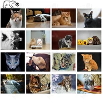 handsome cat pictures diamond painting cross stitch modern cute pet pictures handmade diy diamond embroidery decoration