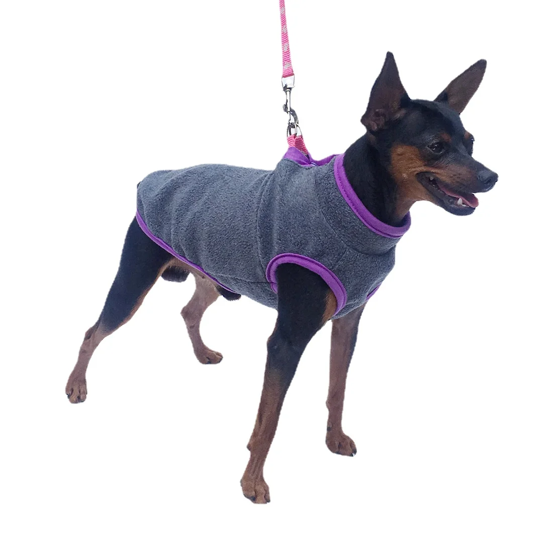 

Pet Dog Clothes Lightweight Fleece Sweater Autumn Winter Warm and Thick Open Button Small Medium Teddy Pet Clothes Dog Costume