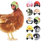 2 шт., твёрдый головной убор для маленьких домашних животных