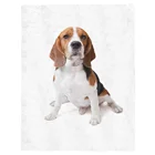 Мягкое фланелевое одеяло с изображением милой собаки Бигля коричневого цвета на весну и осень для офиса, для сиесты одеяло для дивана