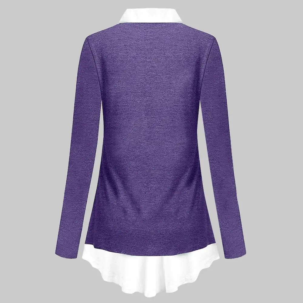 Женская Толстовка Весна 2020 Повседневный длинный рукав отложной воротник