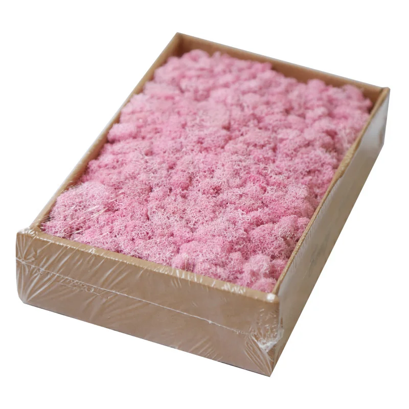 Light Pink Искусственное растение вечная жизнь 200 г мох сад украшение дома стены DIY цветок материал Мини Сад Микро Ландшафтные аксессуары - Цвет: Light Pink