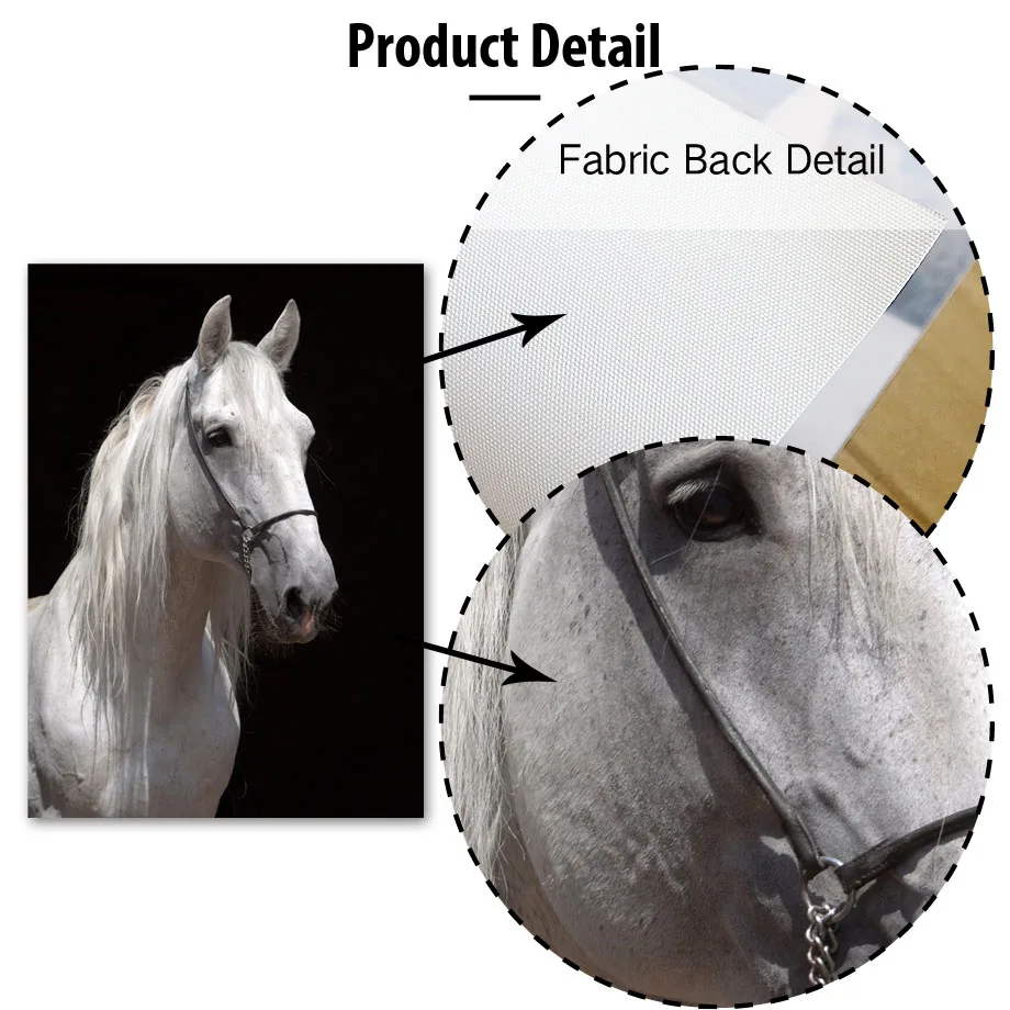 Настенная картина черно-белая с животными жираф Лев Зебра постеры и принты на