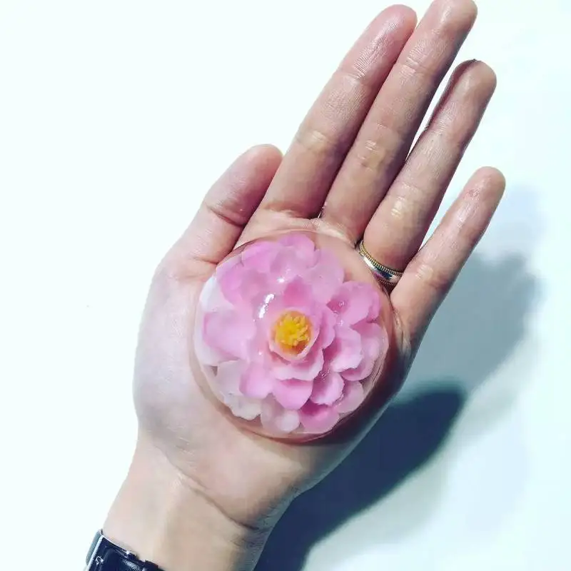 3D Gelatin Jelly Flower Art Tools Jelly Cake Pudding Nozzle set Syringe jelly mold Cake Decorating Tools images - 6