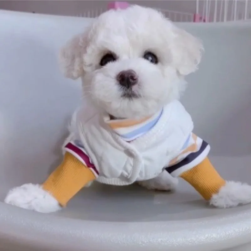Одежда для собак роскошный модный зимний костюм щенка футболка + жилет маленьких