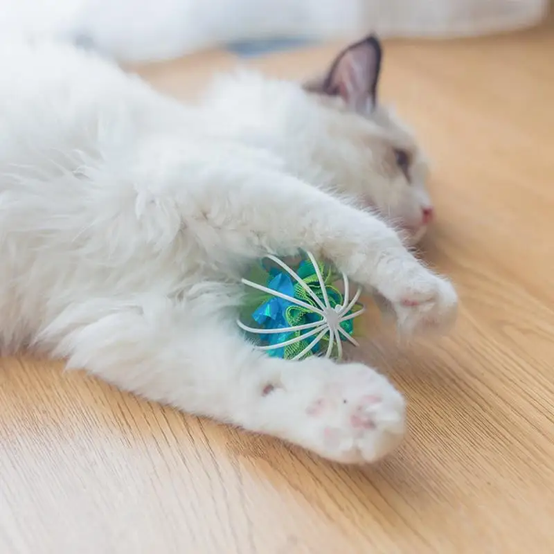 

5PCS Crinkle Ball Cat Toy Steel Wire Hollow Ball Kitten Toy Cat Crinkle Toys Kitten Play Ball Cat Supplies