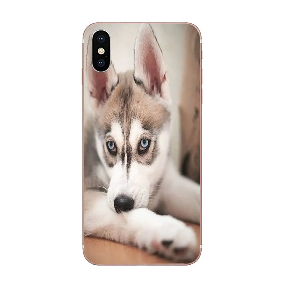TPU сотовый телефон для samsung Galaxy Note 5 8 9 S3 S4 S5 S6 S7 S8 S9 S10 5G mini Edge Plus Lite Siberian Husky милые