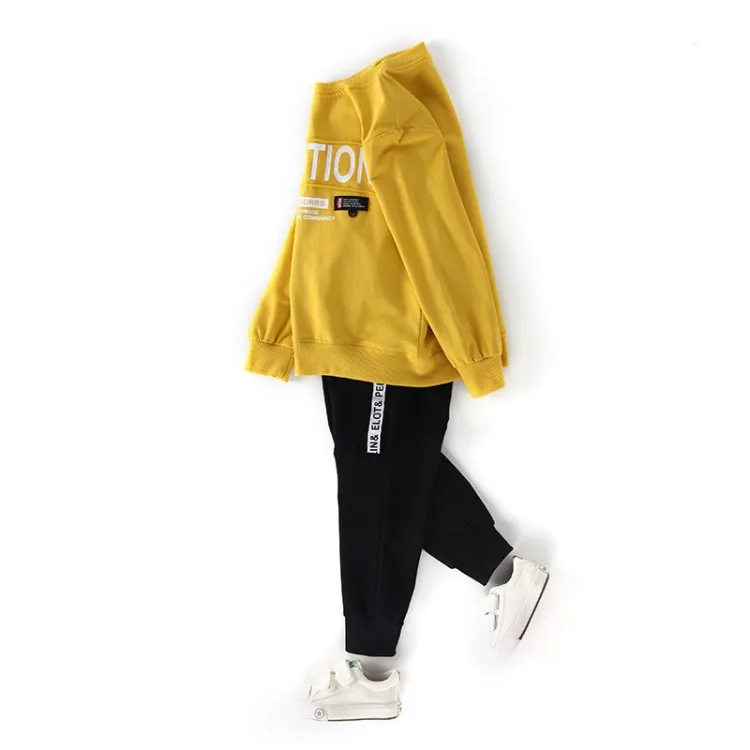 Boys Clothing Sets Kids Clothes Children Suits Casual The Letter Printing for Sport Suit Boy 2019 |