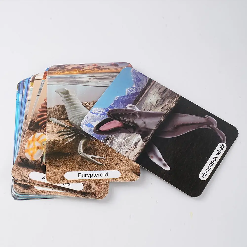 Морские животные Megalodon Beluga фигурки большой акулы экшн-фигурки голубая игрушка