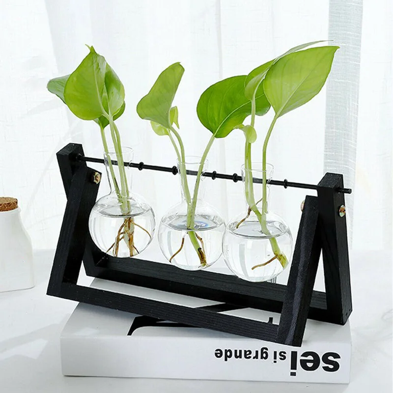 Гидропонная фотография Terrarium винтажный цветочный горшок прозрачная ваза