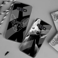huagetop sphynx cat black phone case hull tempered glass for samsung s20 plus s7 s8 s9 s10 plus note 8 9 10 plus