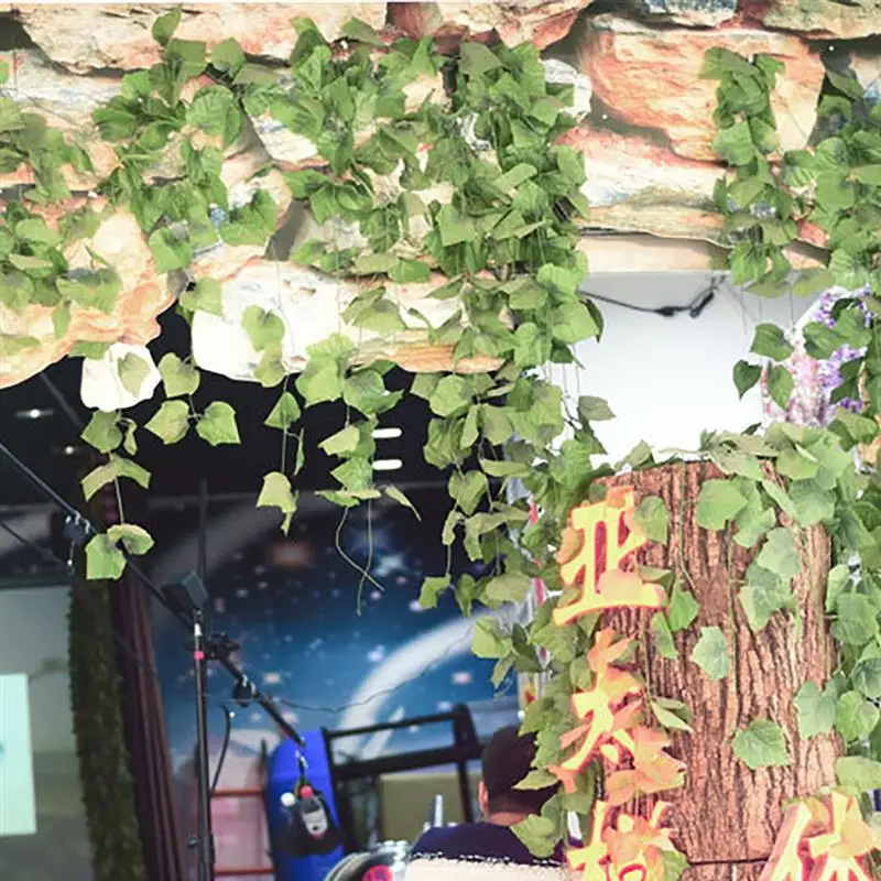 1 шт. листья винограда ротанга 10 видов | Дом и сад