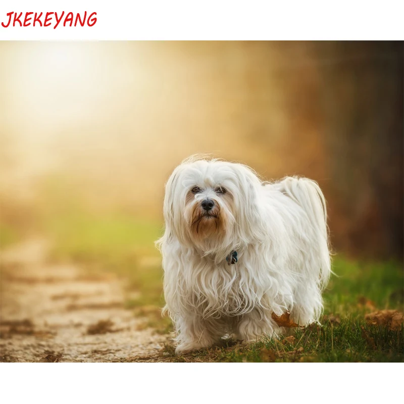 5D DIY квадратный/Круглый Алмаз havanese dog Вышивка крестом Алмазная вышивка Стразы