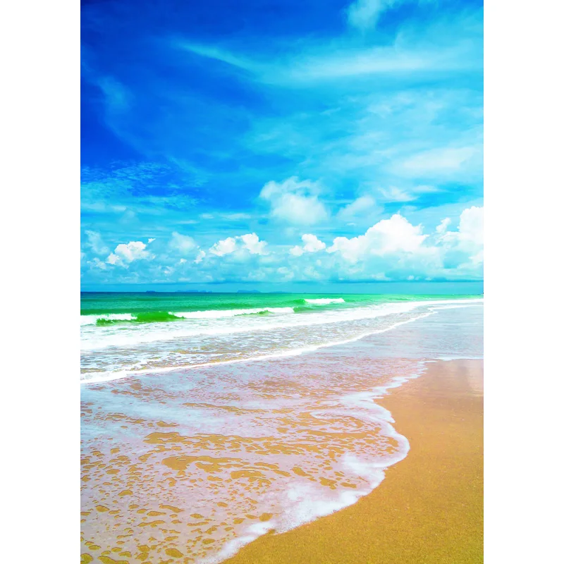 

Vinyl Custom Photography Backdrops Prop Beach Sea Theme Photography Background THH20721
