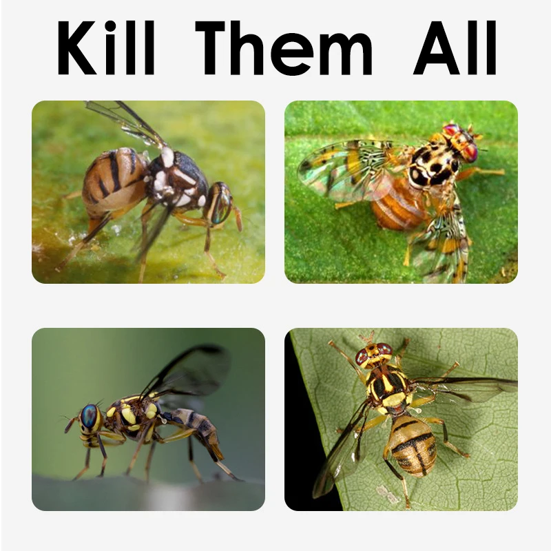 4 шт. висячая ловушка для мушек мячик фруктов липкая уличная одноразовая Оса