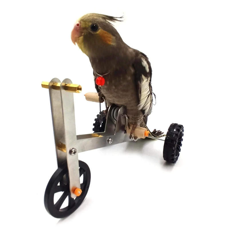 Funny Parrot Mini Metal Bike Toy Birds Training Plaything Parakeet Cockatiel Conure Educational Interactive Props | Дом и сад