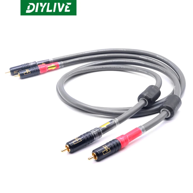 Однокристальный медный усилитель звука горячей температуры DIYLIVE M850SW аудиошнур RCA