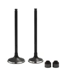 Комплект впускного и выпускного клапана мотоцикла для SUZUKI DR250 Djebel 250 DR-Z 250 DRZ250 KLX250 KLX300 BR250 Z250SL BX250 NINJA DR 250