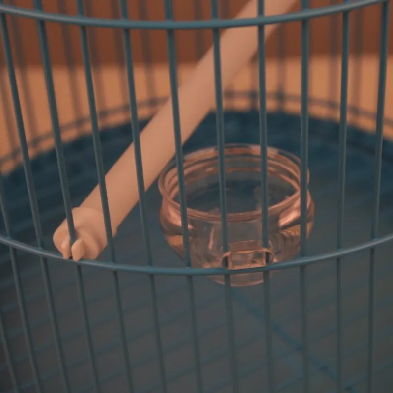 

Bird cage round cage starling parrot thrush round bird cage trumpet bird cage