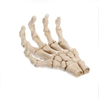 resin skull halloween kitchenware medical mold palm bone ornaments medical teaching model
