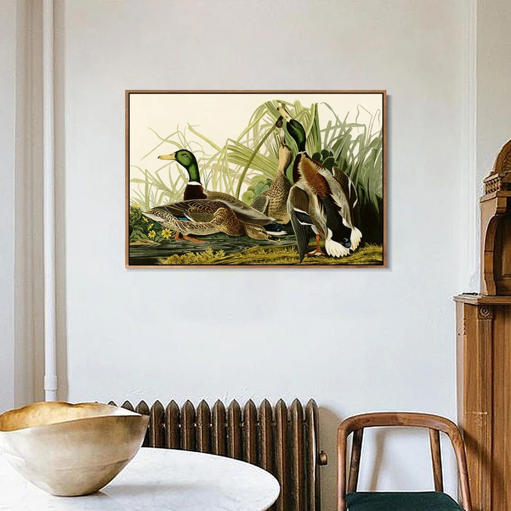 Кряква утка Джон Джеймс Audubon живопись холст искусство печать плакат Настенная
