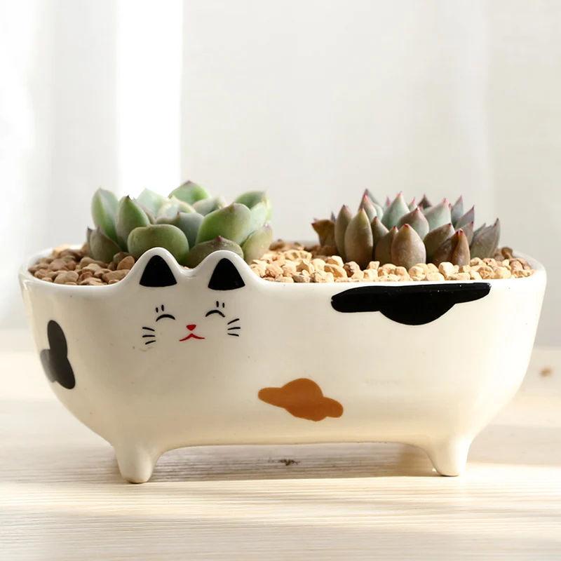 Корейский мультфильм кошка мульти-мясо маленький цветочный горшок Ретро дышащая