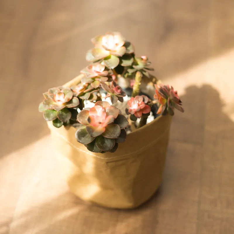 Мини кашпо для суккулентов моющийся горшок из крафт-бумаги цветочный креативные