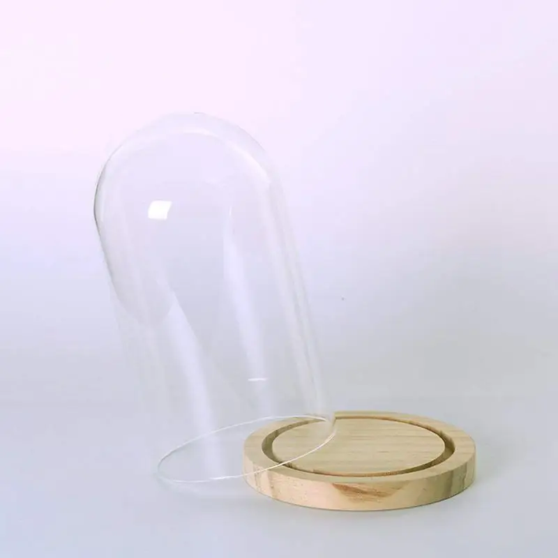 Transparent glass bell suction jars with wooden floor for flowers plants gift L | Дом и сад