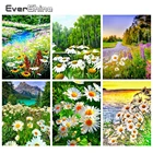 Evershine Алмазная вышивка ромашки 5D DIY Алмазная мозаика полная выкладка цветы вышивка крестом наборы декор для дома