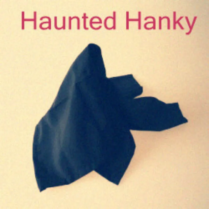 Преследуемый hanky/носовой платок волшебные трюки забавные крупным планом