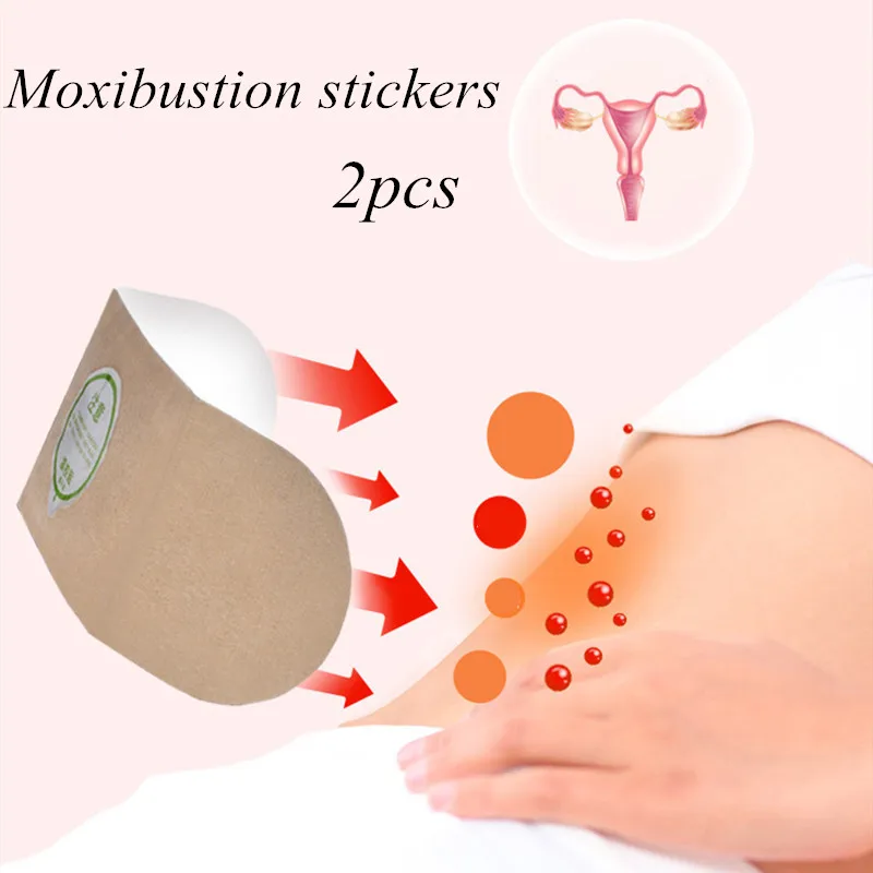 

2pcs Wormwood Extract Shoulder Leg Waist Pain Relieving Paster Self Heating Moxibustion Stickers