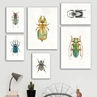 Арт Жук принты алмазов картина изображение насекомых Алмазная вышивка искусство стены Гостиная украшение дома
