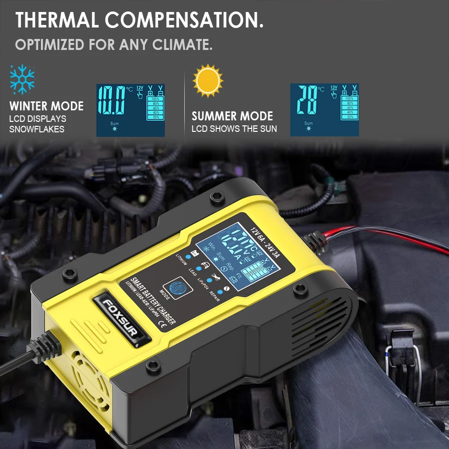 Зарядное устройство FOXSUR для аккумуляторов 12 В и 24 В, LiFePO4, 6 А