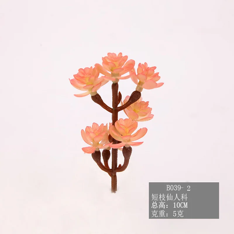 Моделирование суккулентного растения горячая Распродажа одностворчатое