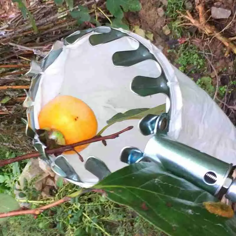 Прибор для сбора фруктов садовый Обрезной инструмент резки груши персика