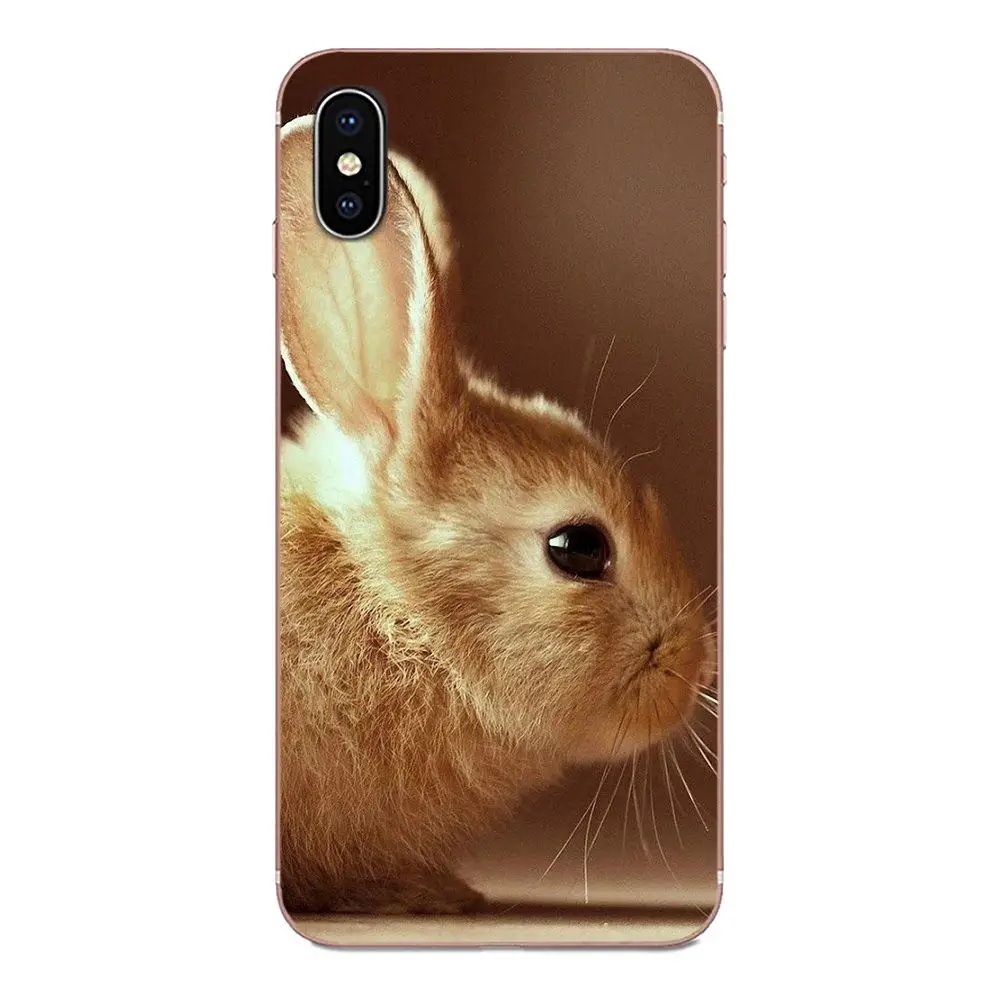 Симпатичные Mr коала Пасха Банн Кролик для huawei Honor 4C 5A 5C 5X6 6A 6X7 7A 7C 7X8 8C 8S 9 10 10i 20 20i Lite