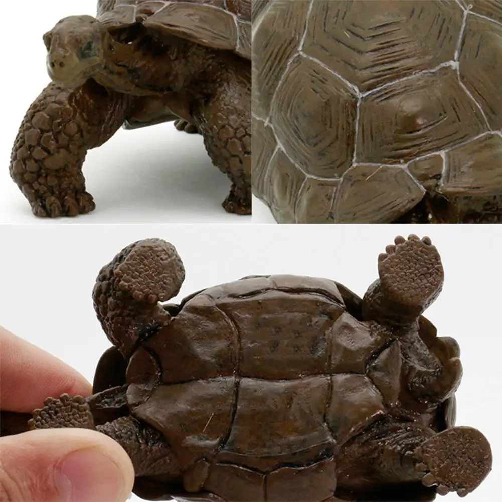 

Inch Sea Life Simulation Animal Model Galapagos Tortoise Turtle Model Figure Animal Toy Educational Collection Gift For kindly