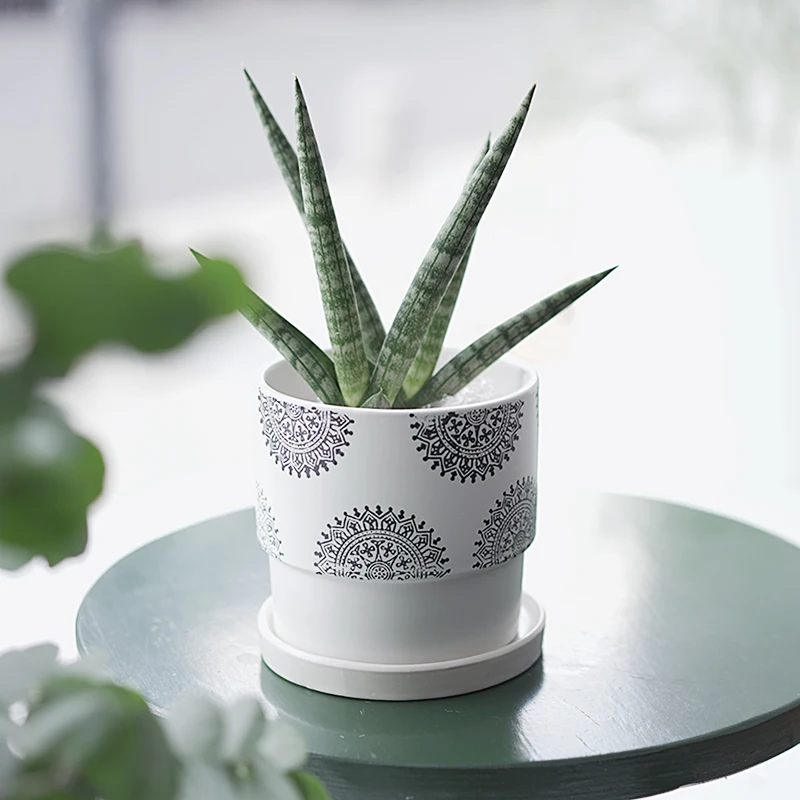 

2021 Nordic Modern Flowers Pot Ceramic Stand Desk Office Balcony Plants Pot Garden Accessories Blumentopf Household Products