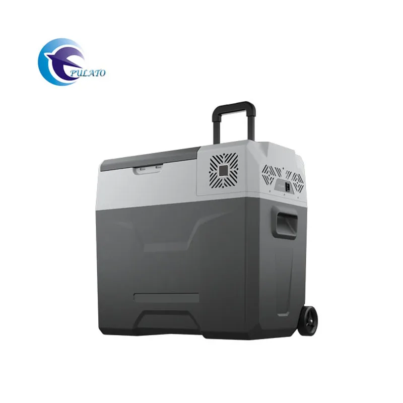 Бестселлер 50L12V 220V компресс кулер автомобильный морозильник (по умолчанию