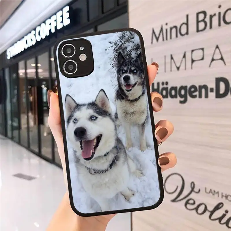 

Alaskan Malamute Siberian husky dog Phone Case For iphone 12 11 8 7 plus mini x xs xr pro max matte transparent cover