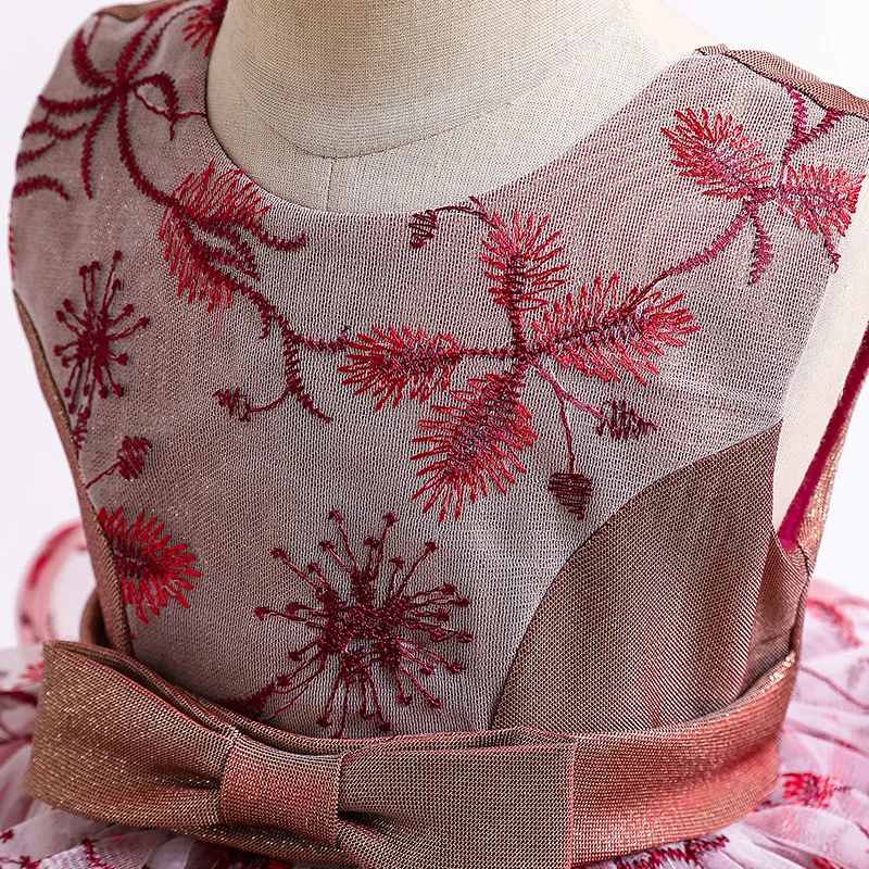 

Embroidery Flower Girl Train Dress Infant Princess Dresses For Baby 1st Year Birthday Party Costume Pageant Prom Evening Dress