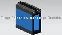 8s 25 6v 60ah50ah 100ah lifepo4 pack battery pack module